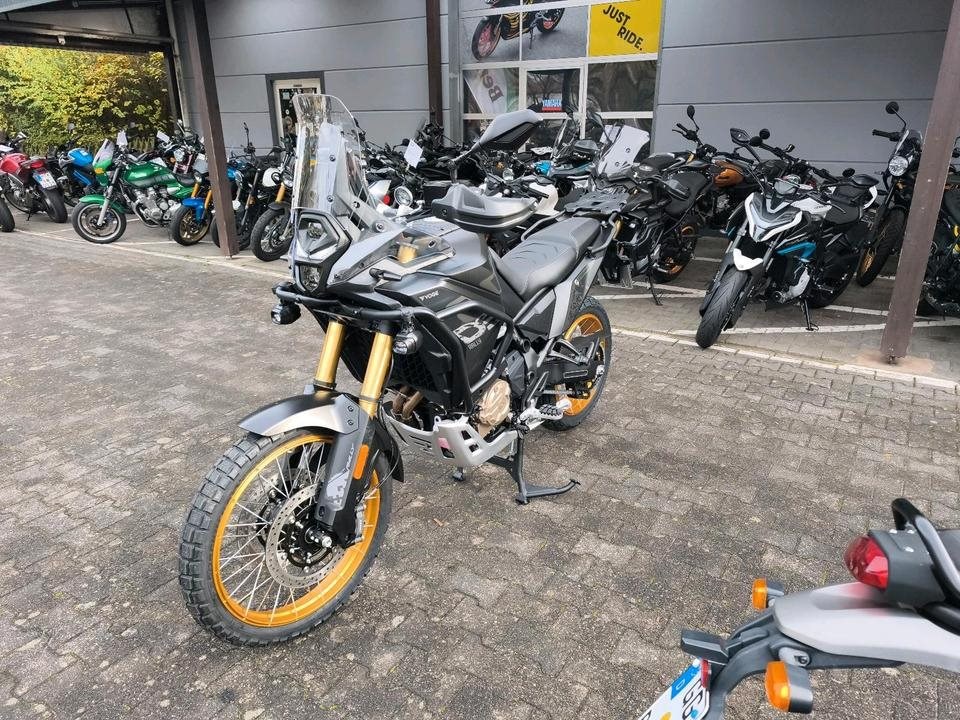 Angebot Voge DS800X Rally