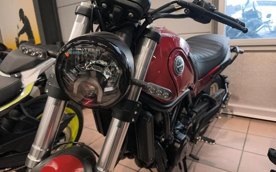 Neufahrzeug Benelli Leoncino 500 Trail - Bild 4