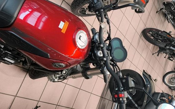 Neufahrzeug Benelli Leoncino 500 Trail - Bild 5