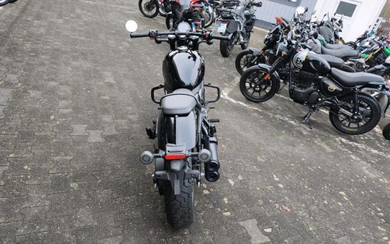 Gebrauchtmotorrad CFMOTO 450CL-C - Bild 3