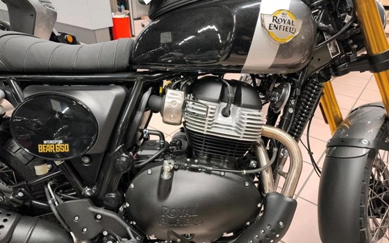 Neufahrzeug Royal Enfield Bear 650 - Bild 3