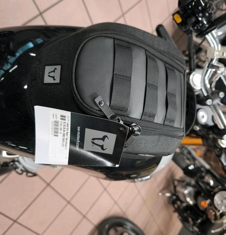 Angebot Royal Enfield Bear 650