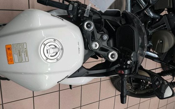 Neufahrzeug Benelli Tornado 550 - Bild 5