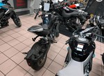 Angebot CFMOTO 800NK Sport