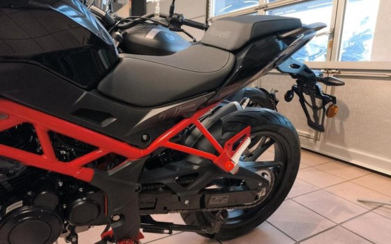 Neufahrzeug Benelli BN 125 - Bild 3