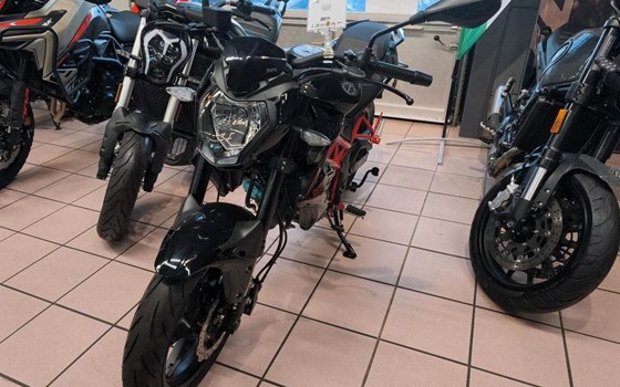 Neufahrzeug Benelli BN 125 - Bild 4