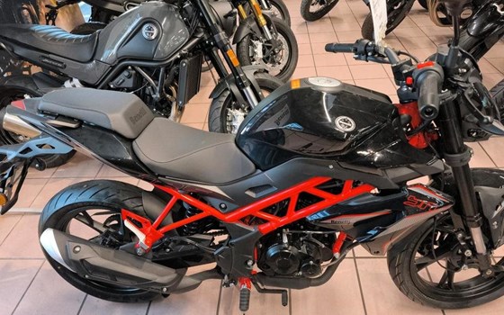 Neufahrzeug Benelli BN 125 - Bild 6