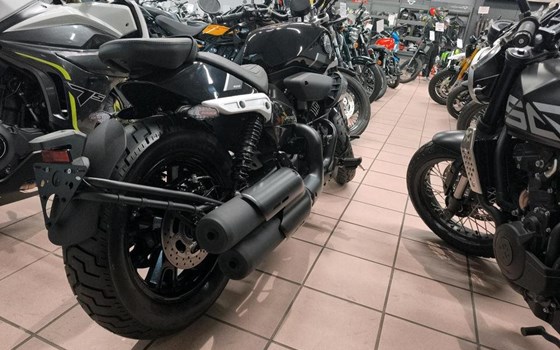 Neufahrzeug Benelli Leoncino Bobber 400 - Bild 4