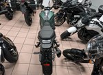 Angebot Benelli Leoncino 800