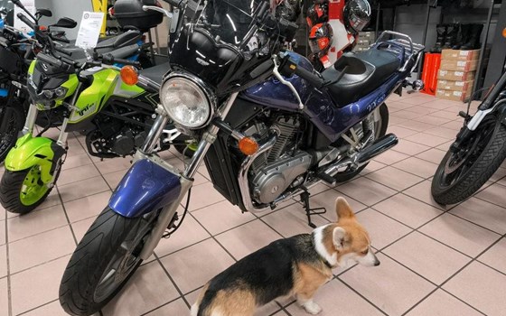 Gebrauchtmotorrad Suzuki VX 800 - Bild 6