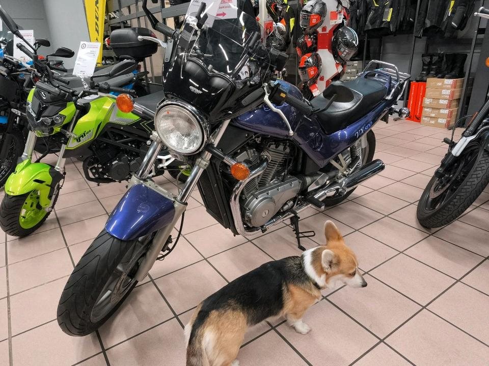 Angebot Suzuki VX 800