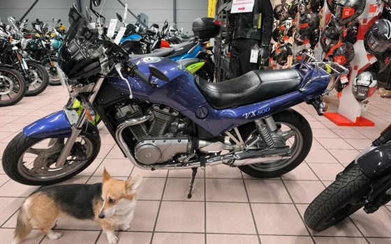Gebrauchtmotorrad Suzuki VX 800 - Bild 7