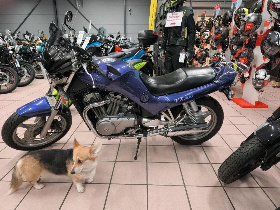 Angebot Suzuki VX 800