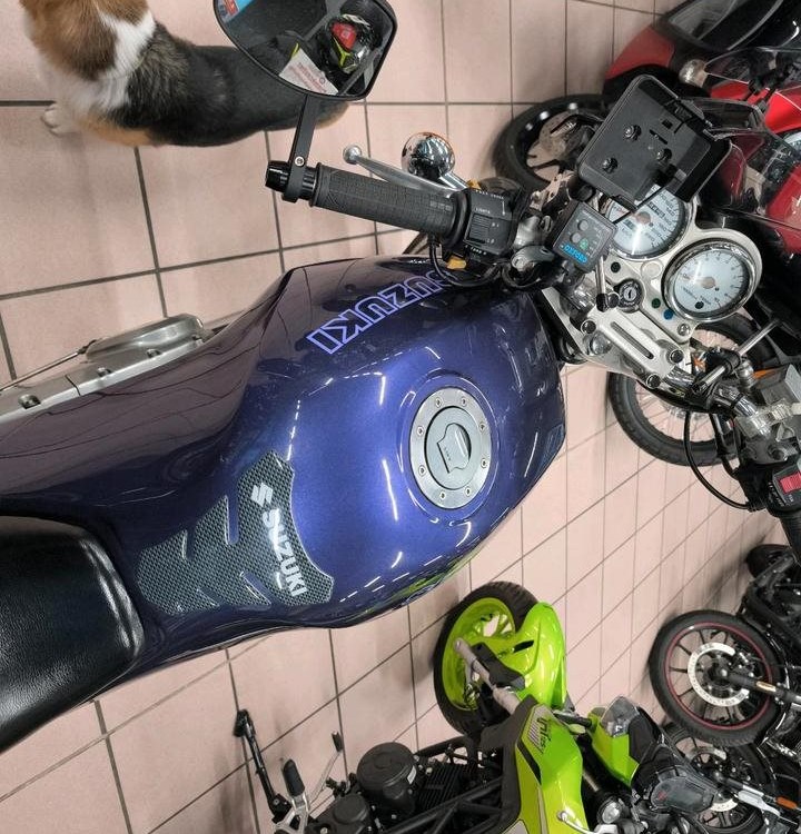 Angebot Suzuki VX 800