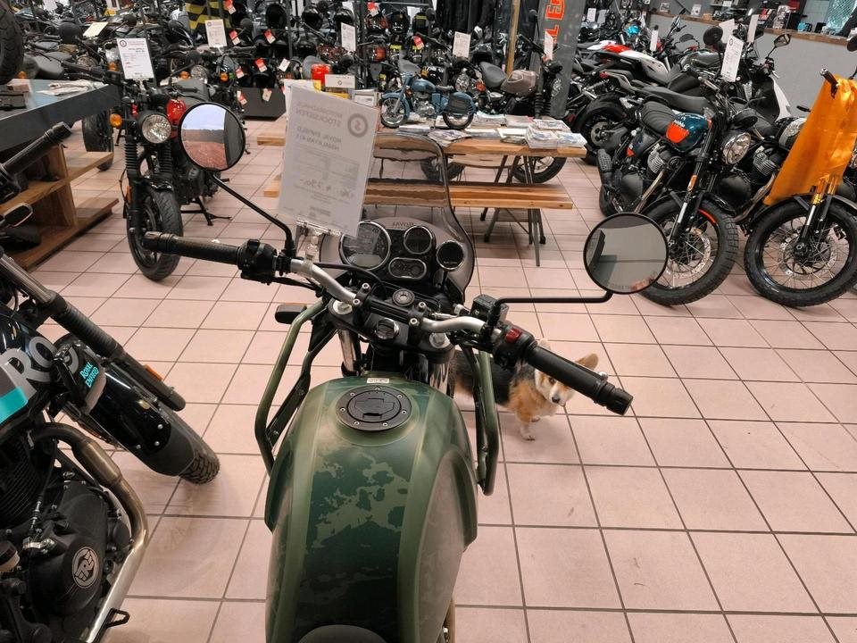 Angebot Royal Enfield Himalayan 410