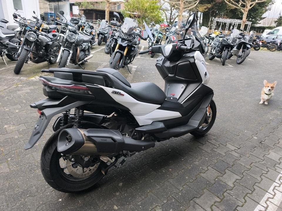 Angebot Voge SR4 350 LUXURY