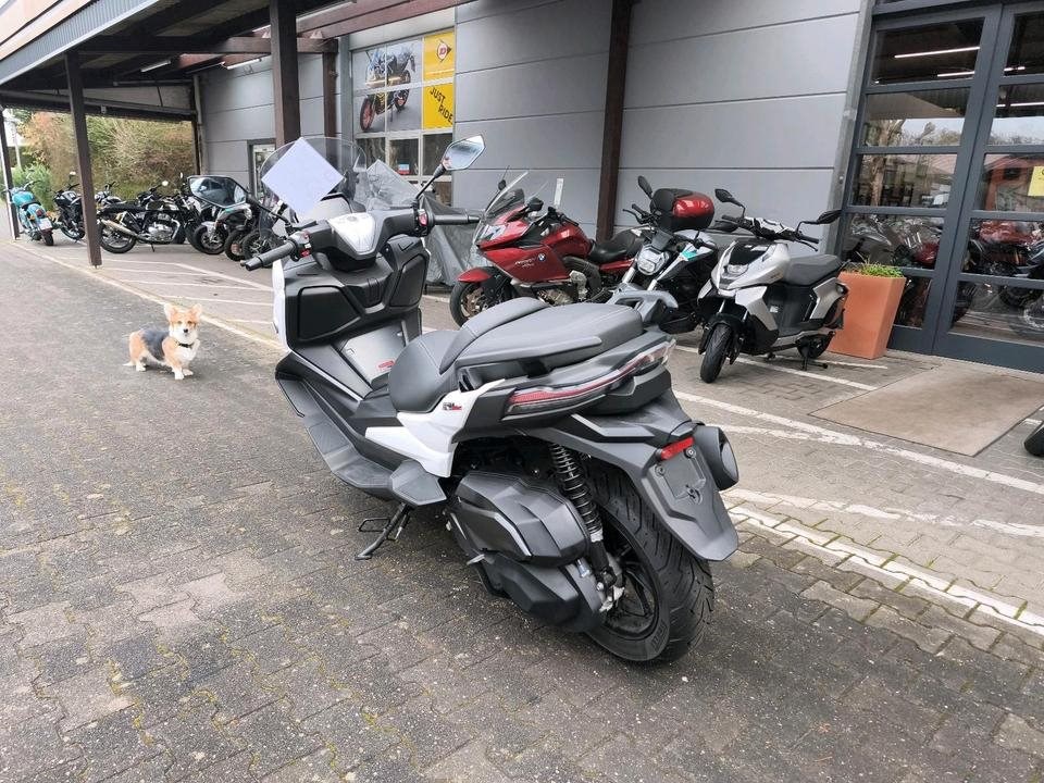 Angebot Voge SR4 350 LUXURY