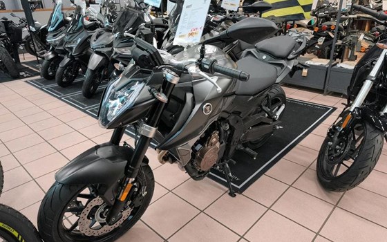 Neufahrzeug Voge R625 - Bild 2