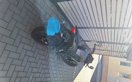 Gebrauchtmotorrad Benelli BN 125 - Bild 6