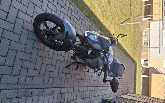 Gebrauchtmotorrad Benelli BN 125 - Bild 8