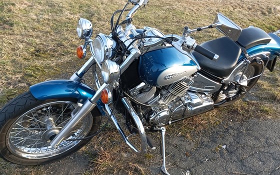 Gebrauchtmotorrad Yamaha XVS 650 Drag Star - Bild 9