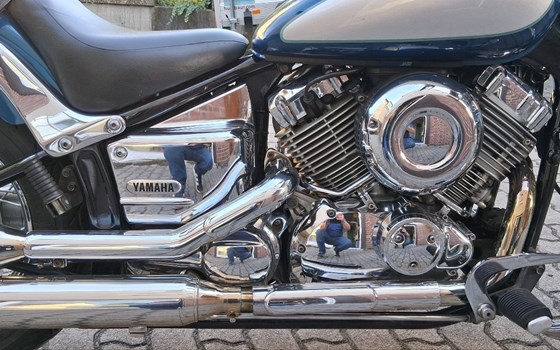 Gebrauchtmotorrad Yamaha XVS 650 Drag Star - Bild 13