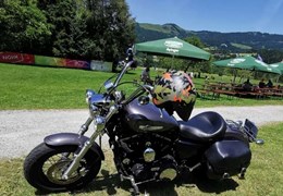 Gebrauchte Harley-Davidson Sportster XL 1200