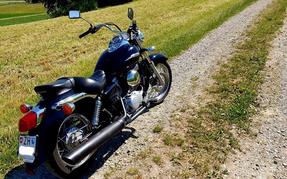 Motorrad Occasion Honda VT 125 Shadow - Bild 4