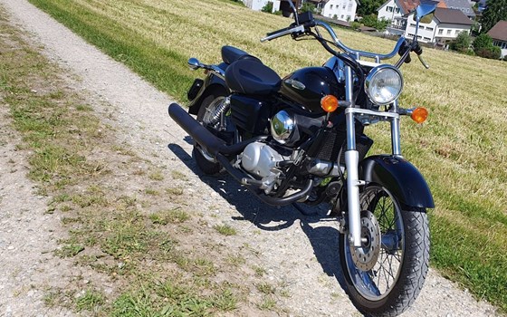 Motorrad Occasion Honda VT 125 Shadow - Bild 5