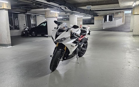 Gebrauchtmotorrad Triumph Daytona 675 R - Bild 6