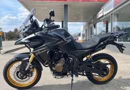 Neumotorrad Voge DS625X