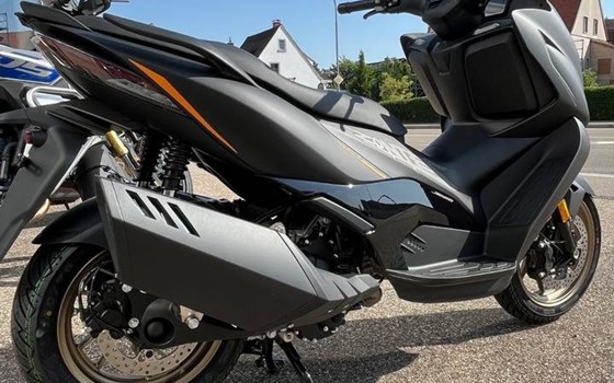 Neufahrzeug Zontes 368 D - Bild 5