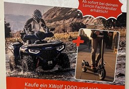 Neumotorrad Loncin XWolf 1000L ABS EPS