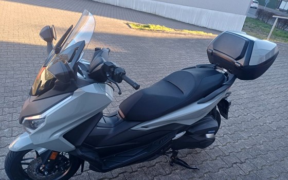 Gebrauchtmotorrad Honda Forza 350 - Bild 2