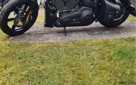 Gebrauchtmotorrad Harley-Davidson Softail Street Bob 114 FXBBS - Bild 3