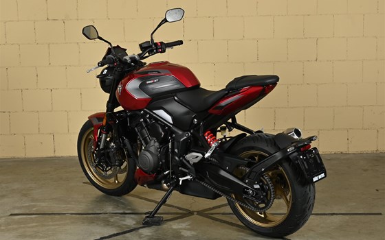 Neufahrzeug Triumph Trident 800 - Bild 5