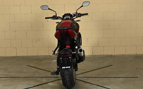 Neufahrzeug Triumph Trident 800 - Bild 6