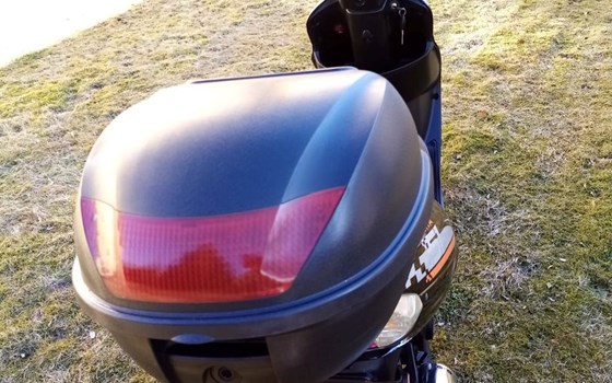 Gebrauchtmotorrad Longjia Alien 50 - Bild 5