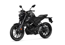Neumotorrad Yamaha MT-125