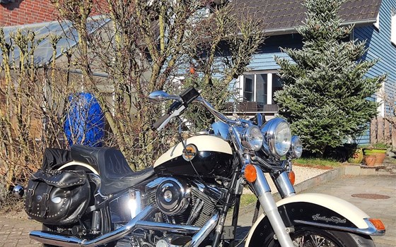 Gebrauchtmotorrad Harley-Davidson Softail Heritage Classic FLSTC - Bild 5