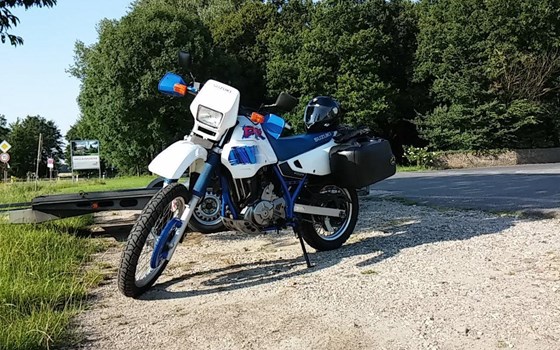 Gebrauchtmotorrad Suzuki DR 650 - Bild 2