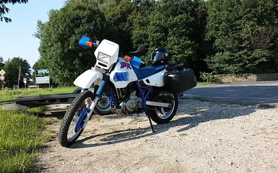Gebrauchtmotorrad Suzuki DR 650 - Bild 2