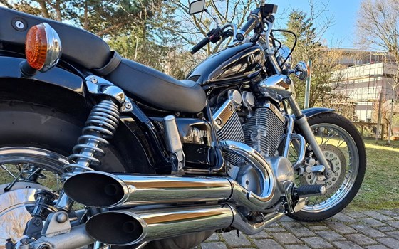 Gebrauchtmotorrad Yamaha Virago 535 - Bild 1