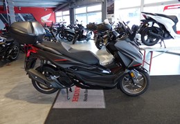 Neumotorrad Honda Forza 125