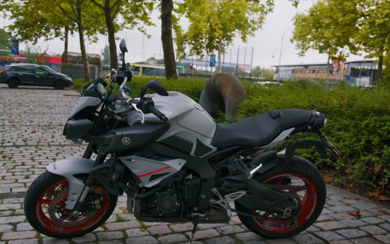Gebrauchtmotorrad Yamaha MT-10 - Bild 3
