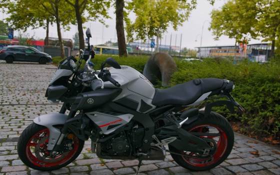 Gebrauchtmotorrad Yamaha MT-10 - Bild 3
