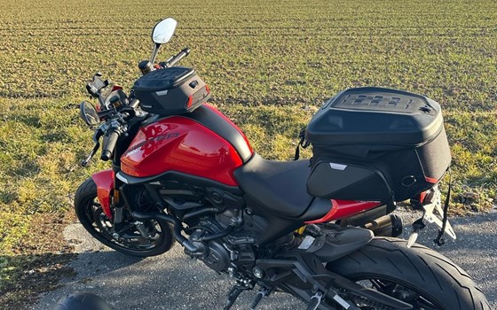 Gebrauchtmotorrad Ducati Monster + - Bild 8