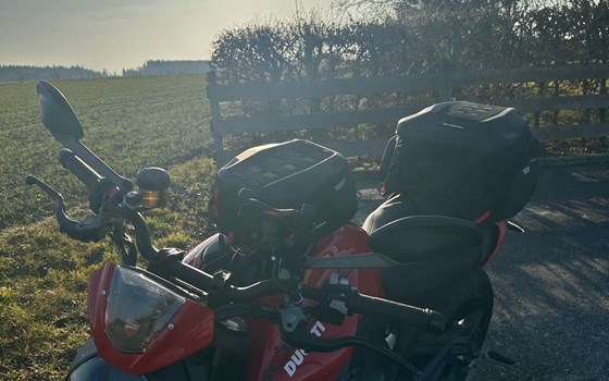 Gebrauchtmotorrad Ducati Monster + - Bild 3