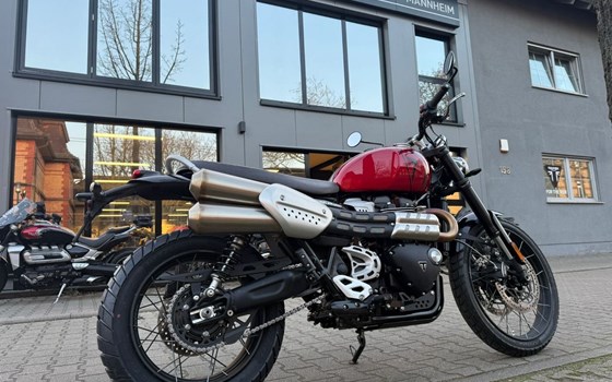 Gebrauchtmotorrad Triumph Scrambler 1200 X - Bild 1