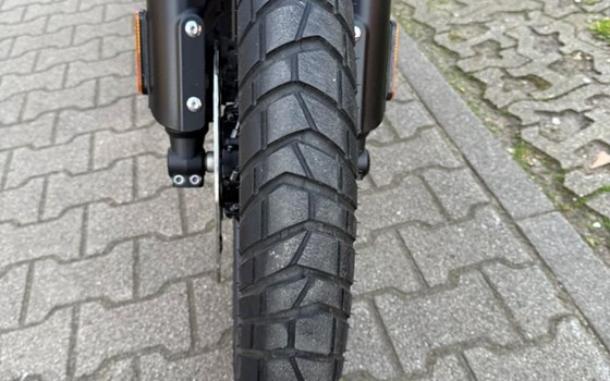 Gebrauchtmotorrad Triumph Scrambler 1200 X - Bild 12